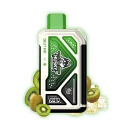 Space HUSKY 18000 затяжек (2% Hard) CHILLY KIWI - киви, лед