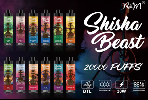 R&M ShiSha Beast 20000 затяжек STRAWBERRY ICE 2%